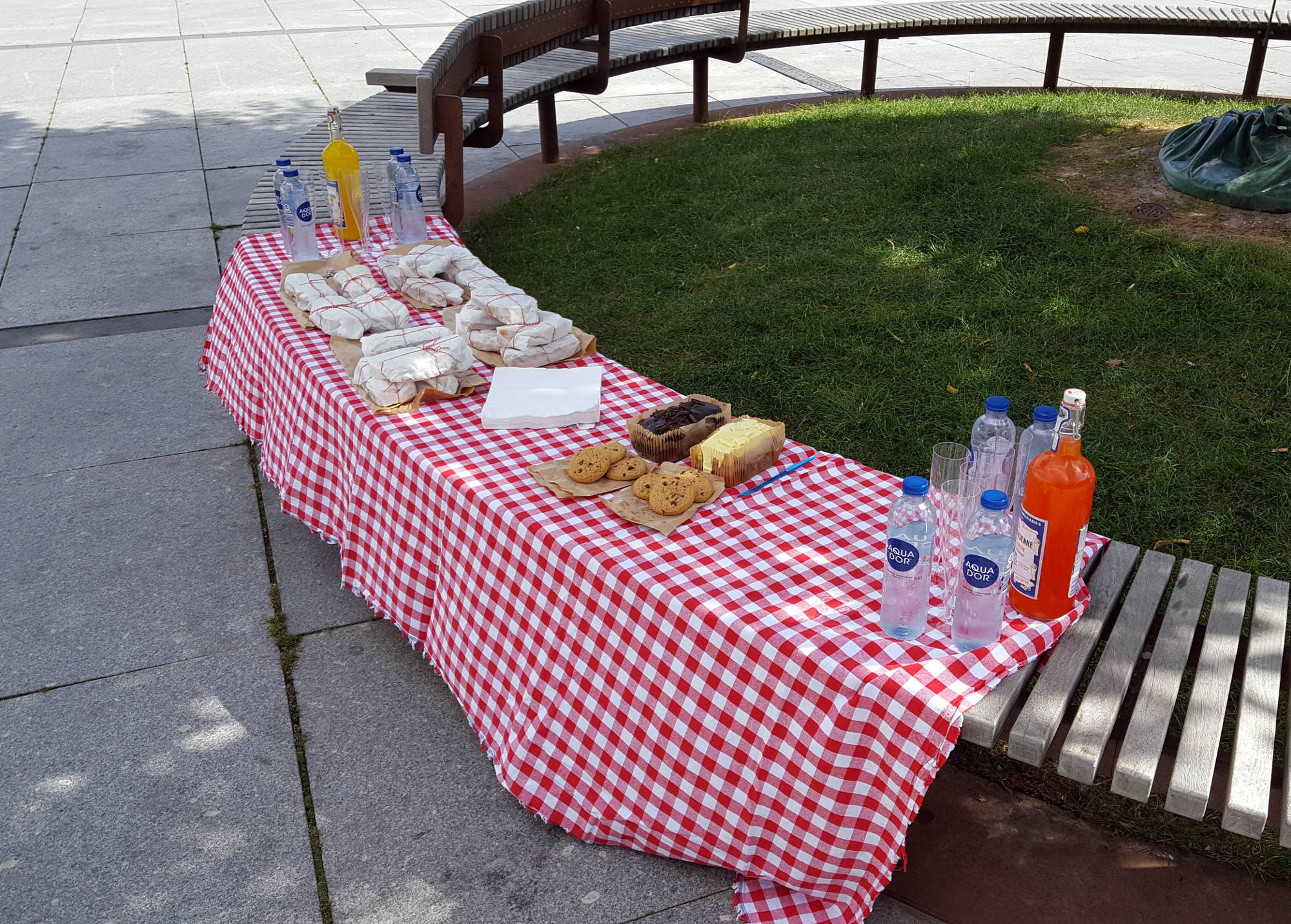 beCopenhagen picnic